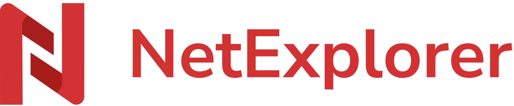 NetExplorer logo